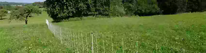 Electric fence