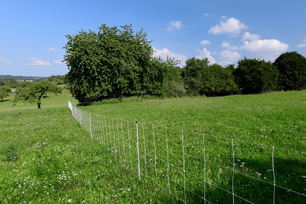 Electric fence